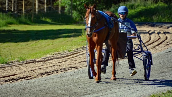 Foto: Mikael Berglund