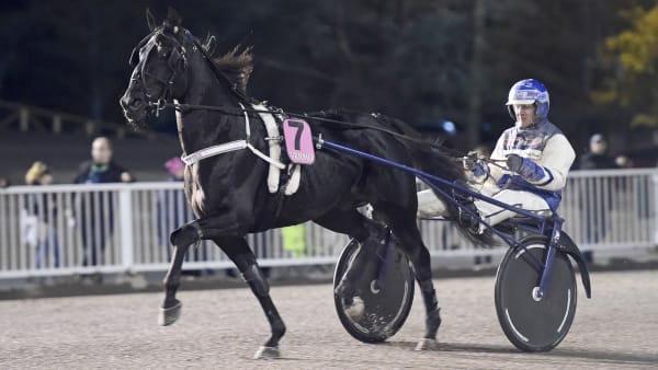 Foto: LARS JAKOBSSON / TR BILD