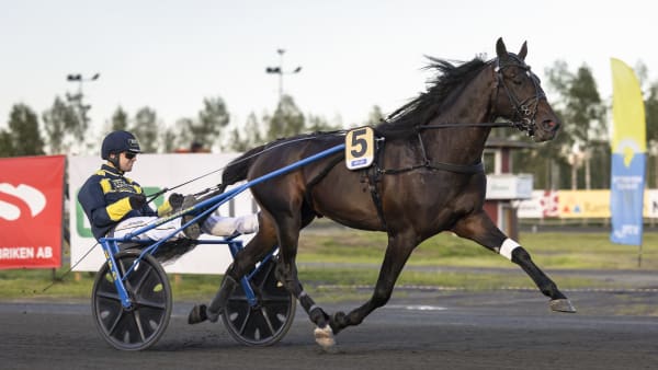 Foto: LENA EMMOTH / TR BILD