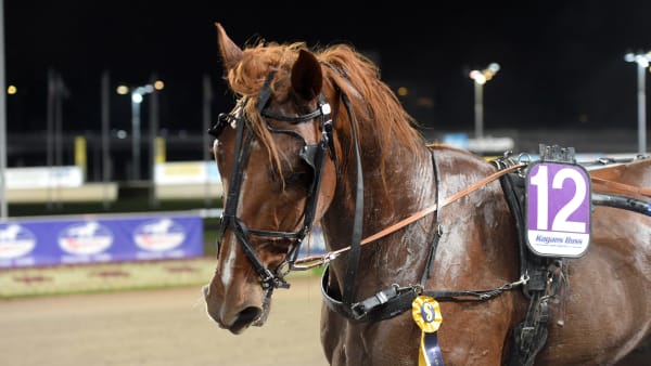 Foto: LARS JAKOBSSON / TR BILD