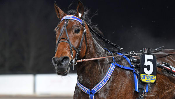 Foto: MALIN ALBINSSON / TR BILD