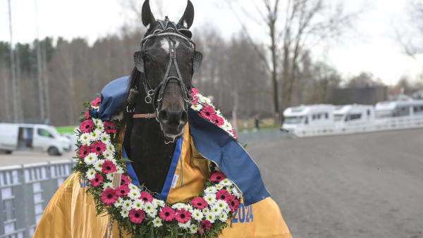 Foto: LARS JAKOBSSON / TR BILD