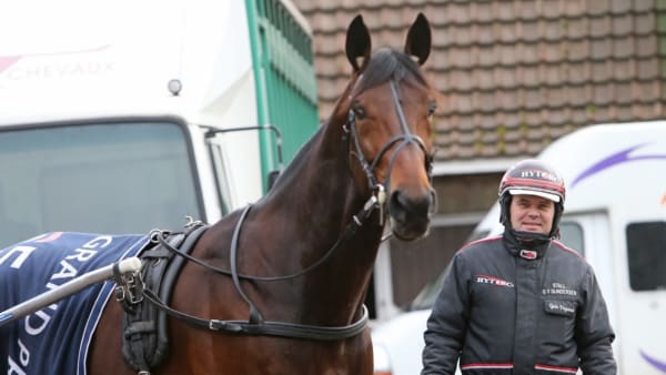 Foto: MIA TÖRNBERG/TRAVRONDEN