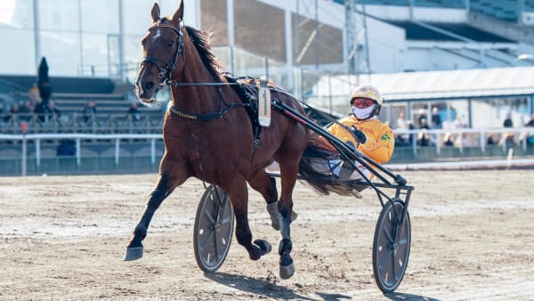 Foto: MIKAEL ROSENQUIST / TR BILD