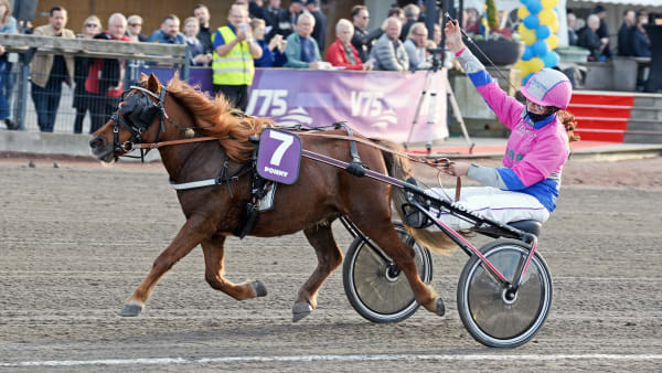 Foto: MALIN ALBINSSON / TR BILD