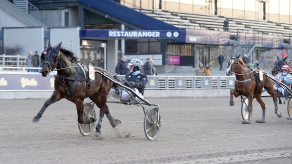 Foto: LARS JAKOBSSON / TR BILD