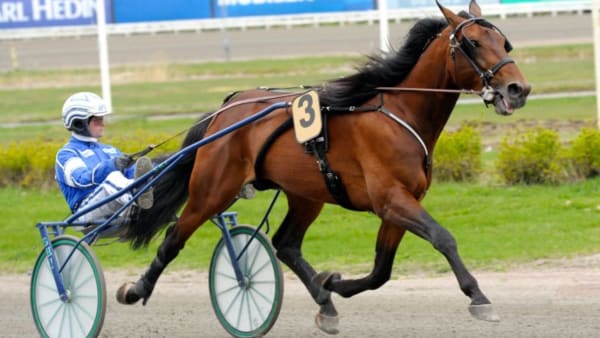 Foto: MARTIN LANGELS/ALN