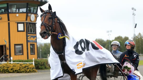 Foto: GIRLPOWER HB/TR BILD