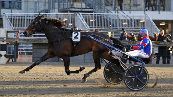 Foto: MALIN ALBINSSON / TR BILD