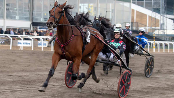 Foto: MIKAEL ROSENQUIST / TR BILD