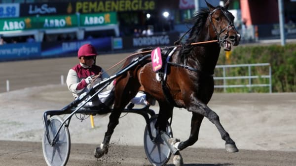 Foto: MICKE GUSTAFSSON/ALN