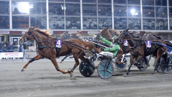 Foto: LARS JAKOBSSON / TR BILD