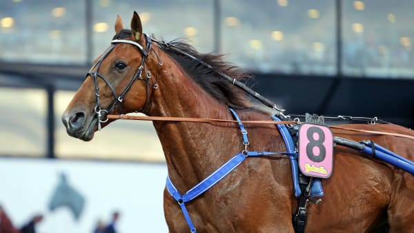 Foto: MATILDA ÖHRMAN / TR BILD