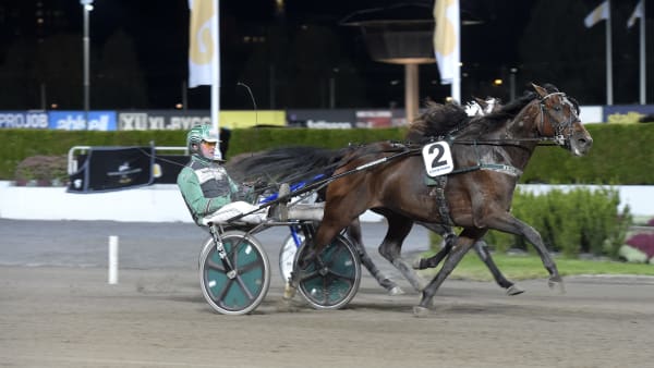 Foto: LARS JAKOBSSON / TR BILD