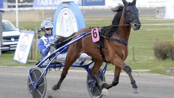 Foto: LARS JAKOBSSON / TR BILD