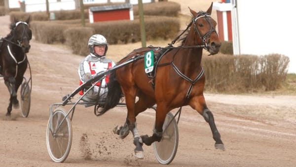 Foto: MICKE GUSTAFSSON/ALN