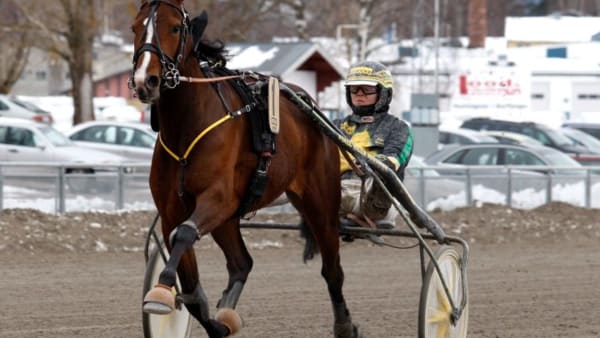 Foto: THOMAS GUSTAFSSON/ALN