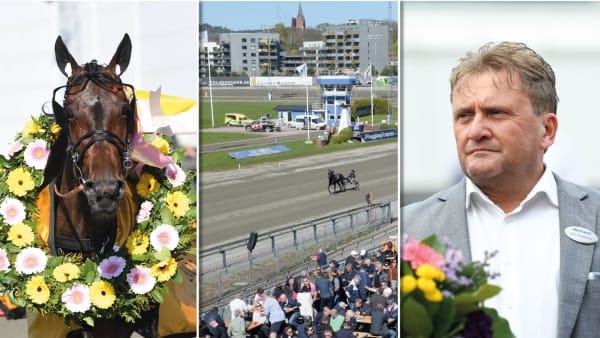 Foto: TR BILD/MONTAGE