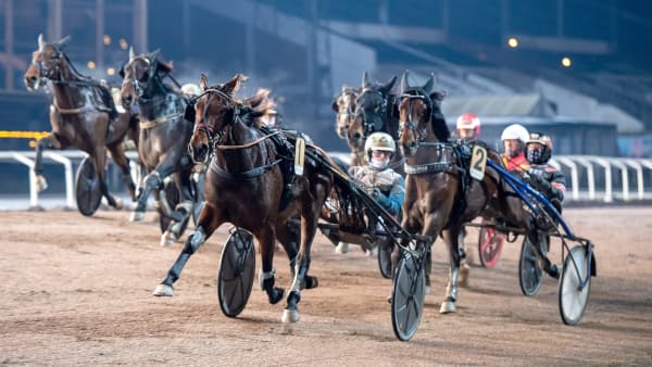 Foto: MIKAEL ROSENQUIST / TR BILD