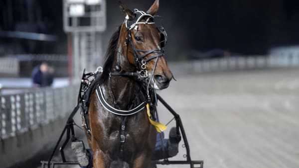 Foto: LARS JAKOBSSON / TR BILD