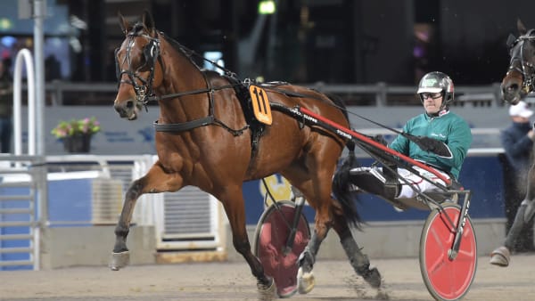 Foto: LARS JAKOBSSON / TR BILD