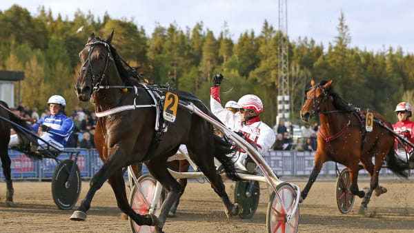 Foto: MARIA HOLMÉN / TR BILD