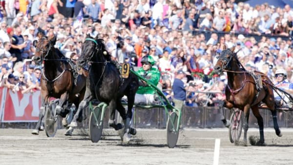 Foto: URBAN KIHLMAN/ALN