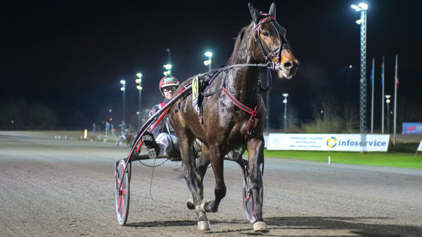 Foto: MIKAEL ROSENQUIST / TR BILD