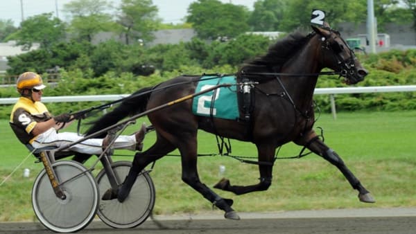 Foto: STEFAN MELANDER/STALLTZ.SE