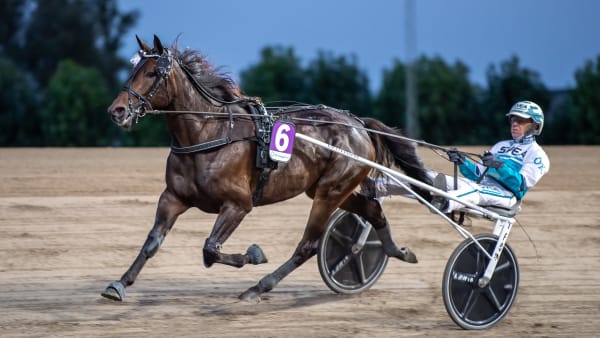 Foto: MIKAEL ROSENQUIST / TR BILD