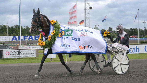 Foto: LARS JAKOBSSON / TR BILD