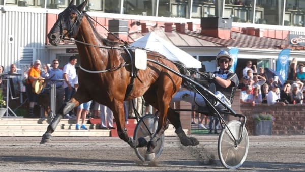 Foto: MICKE GUSTAFSSON/ALN