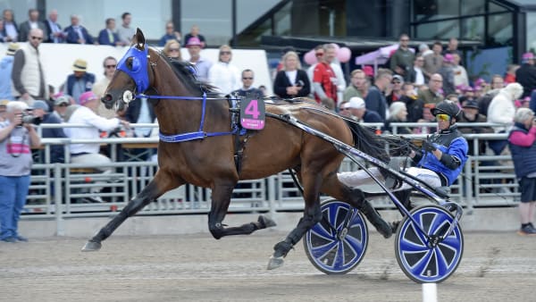 Foto: LARS JAKOBSSON / TR BILD