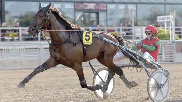 Foto: LARS JAKOBSSON / TR BILD