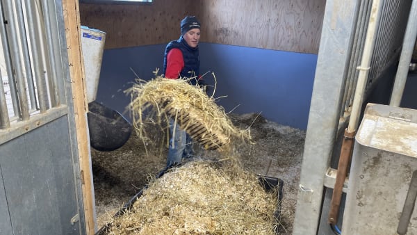 Foto: Patrick Sjöö