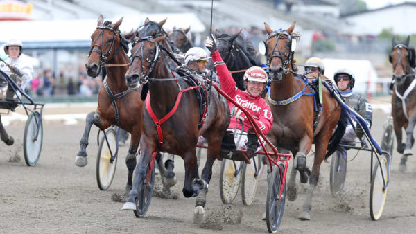 Foto: MIA TÖRNBERG