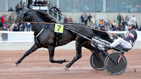 Foto: MIA TÖRNBERG/TRAVRONDEN