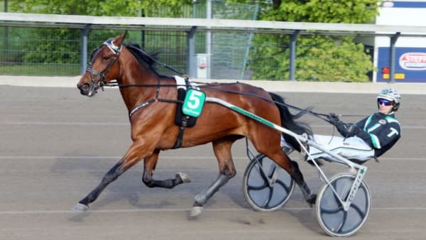 Foto: ANNA PERSSON/TRAVRONDEN