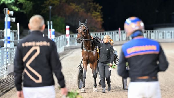 Foto: LARS JAKOBSSON / TR BILD