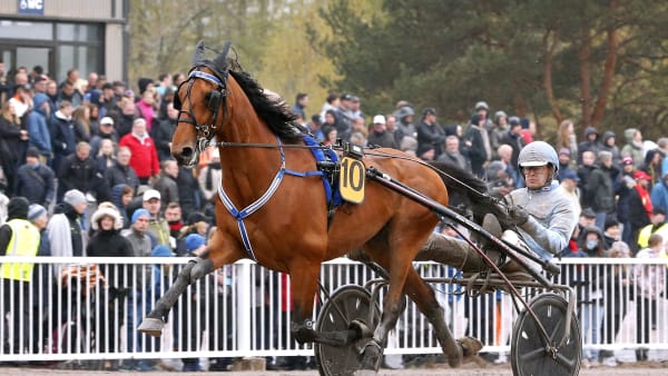 Foto: MARIA HOLMÉN / TR BILD