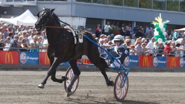 Foto: LENNART KIHLMAN/ALN