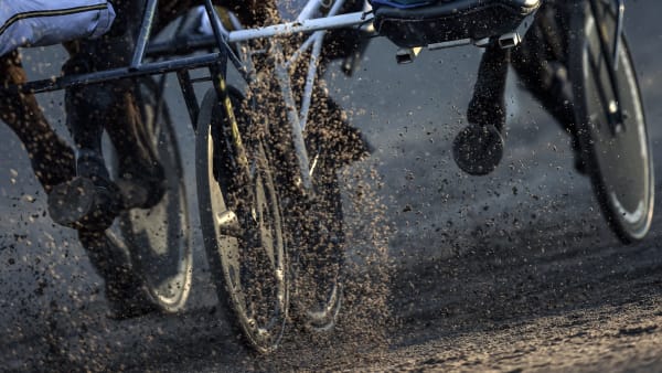 Foto: LARS JAKOBSSON/TR BILD