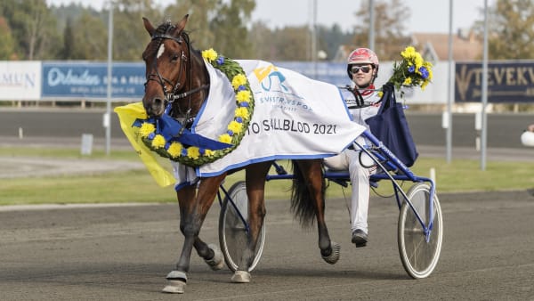 Foto: LENA EMMOTH / TR BILD