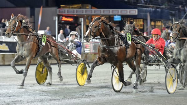 Foto: LARS JAKOBSSON/KANAL75