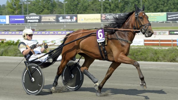 Foto: LARS JAKOBSSON / TR BILD