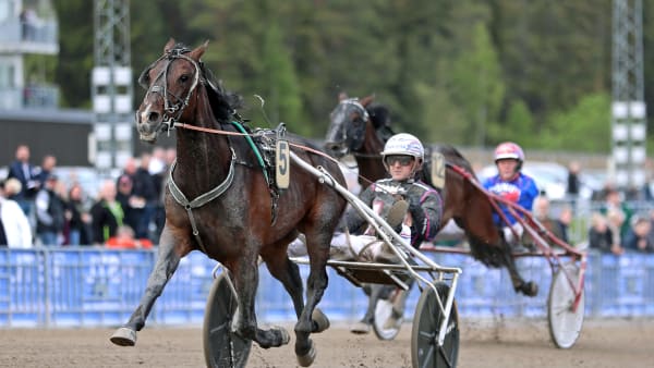 Foto: MARIA HOLMÉN / TR BILD