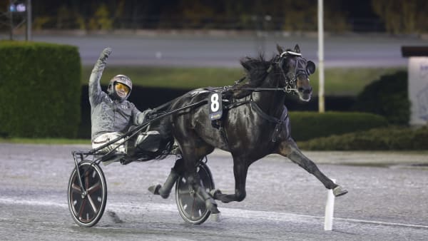 Foto: ROGER SVALSRÖD/HESTEGUIDEN