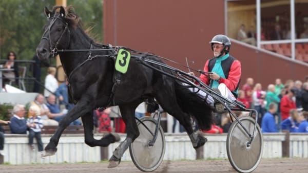 Foto: DAN HÄLLGREN/ALN