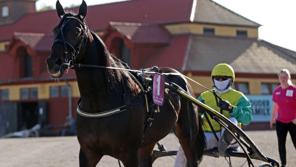 Foto: MATILDA ÖHRMAN / TR BILD