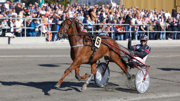Foto: STEIN LARSEN/TRAV365.NO